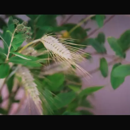 Gospodarstwo agroturystyczne Na Końcu świata *