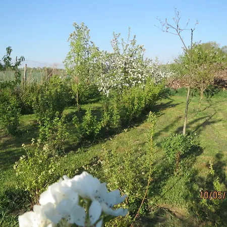 Gospodarstwo agroturystyczne Na Końcu świata