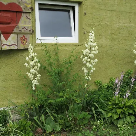 Na Końcu świata Gospodarstwo agroturystyczne Czaplin Maly