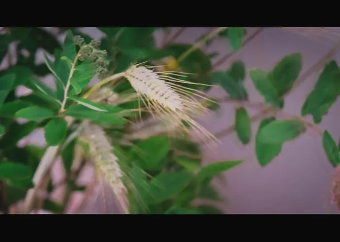 Κατάλυμα σε φάρμα Na Koncu Swiata *