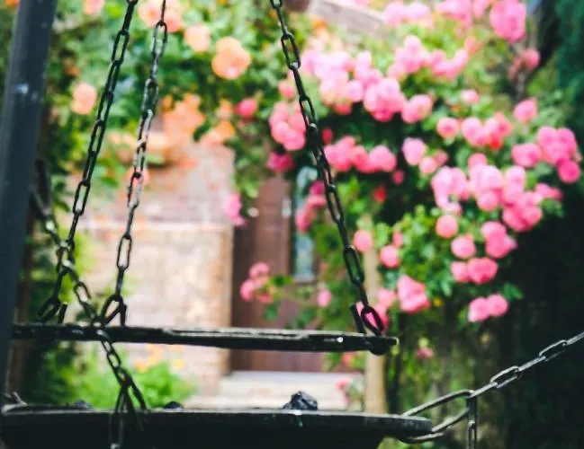 Na Końcu świata * Czaplin Maly