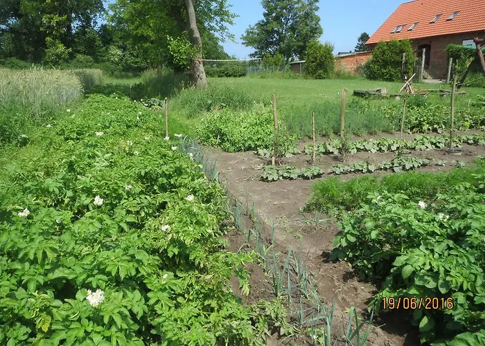 Feriegård Na Koncu Swiata