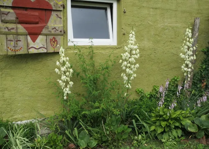 Na Koncu Swiata Feriegård Czaplin Maly